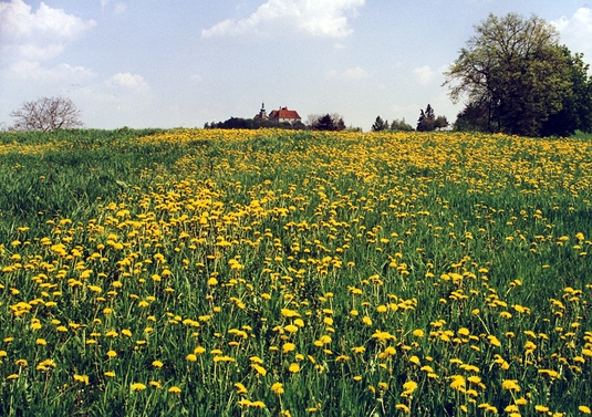 Vysoký Chlumec - jaro